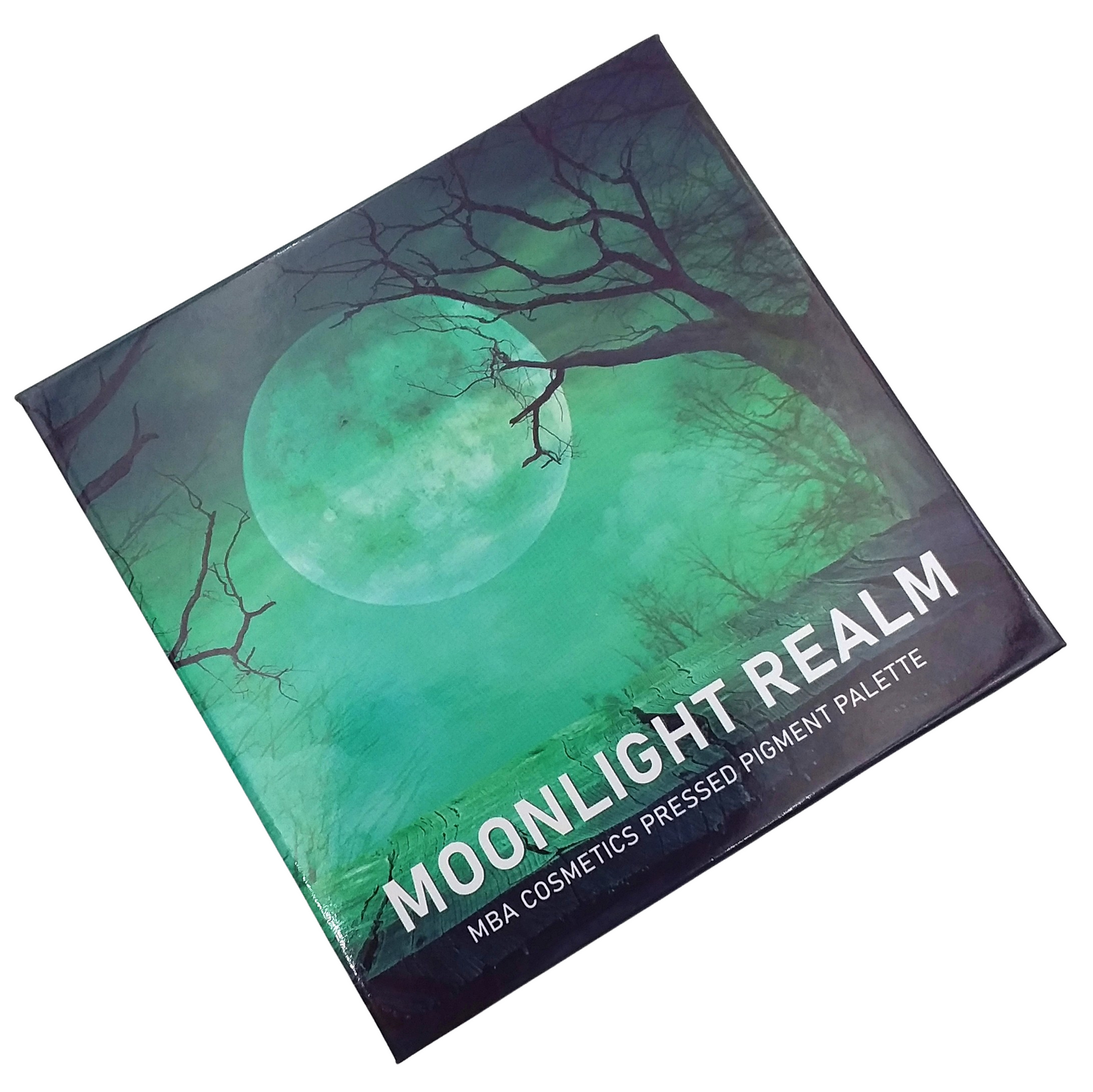 Empty Magnetic Moonlight Realm Palette