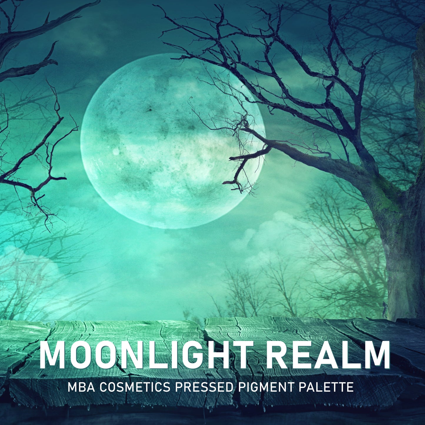 Moonlight Realm-Pressed Pigment Palette