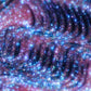 Star Fairy-Starry Eyes Duochrome Mascara