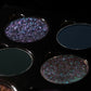 11/1 Reaper's Bounty-Duochrome/Matte Eyeshadow Collection