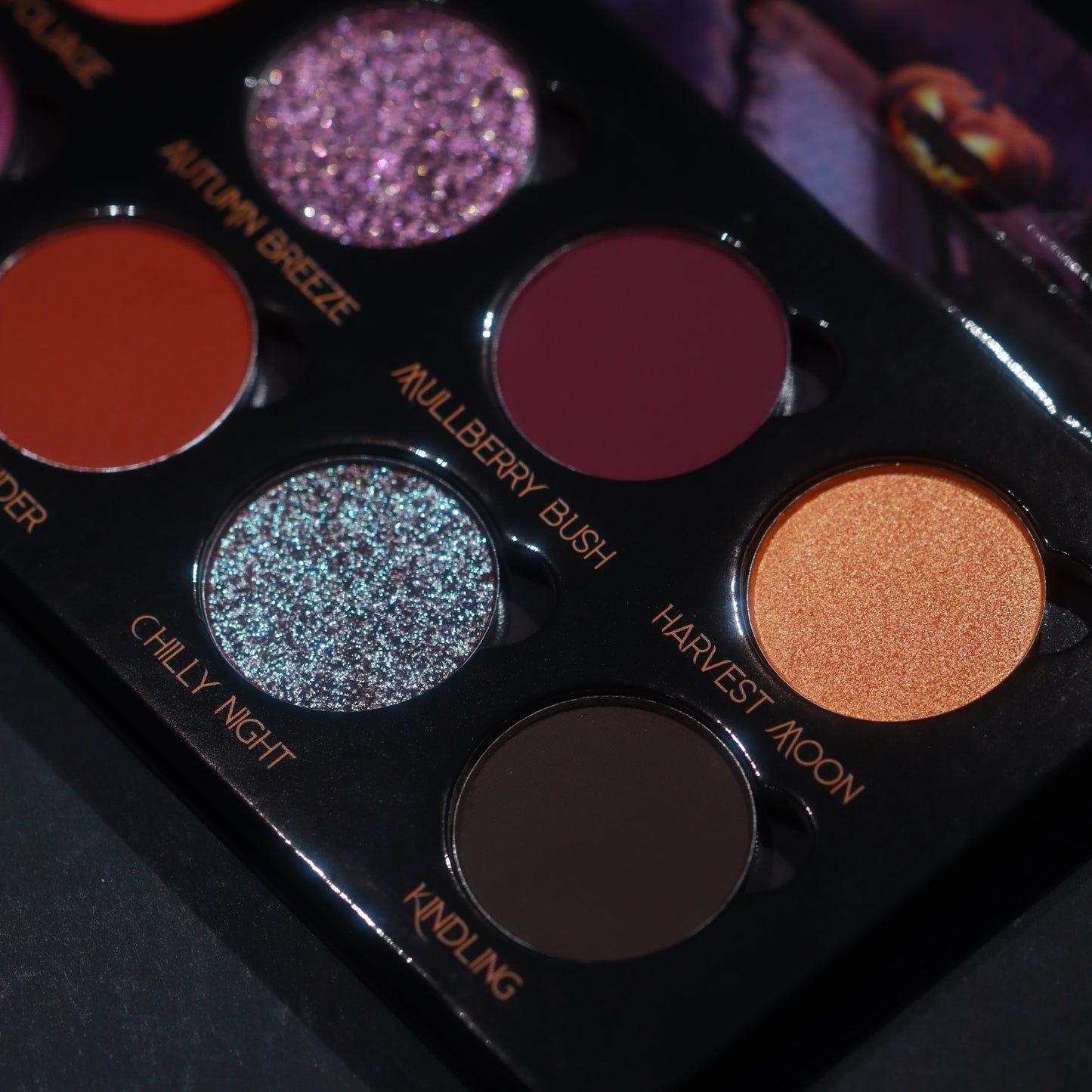 Autumn Moon-Pressed Pigment  Palette