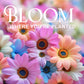 Empty Magnetic Bloom Where You're Planted