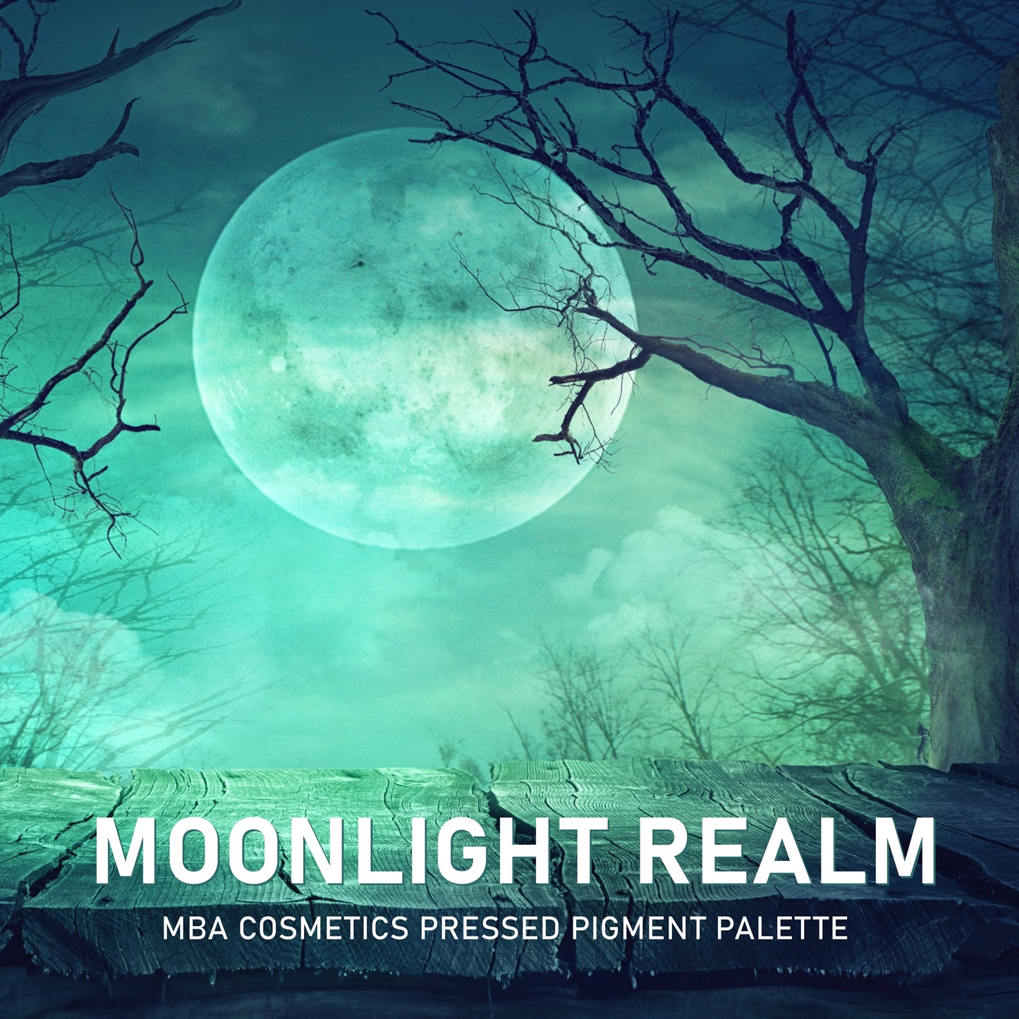 Empty Magnetic Moonlight Realm Palette