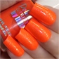 Fruitopia-Coral/Yellow Quad- Neon Shimmer Series