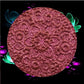 Galaxy Rose-Duo-Chrome Shifting Eyeshadow