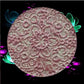 Zodiac Daisy-Duo-Chrome Shifting Eyeshadow